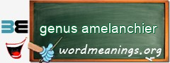 WordMeaning blackboard for genus amelanchier